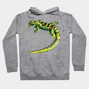 gecko Phelsuma Hoodie